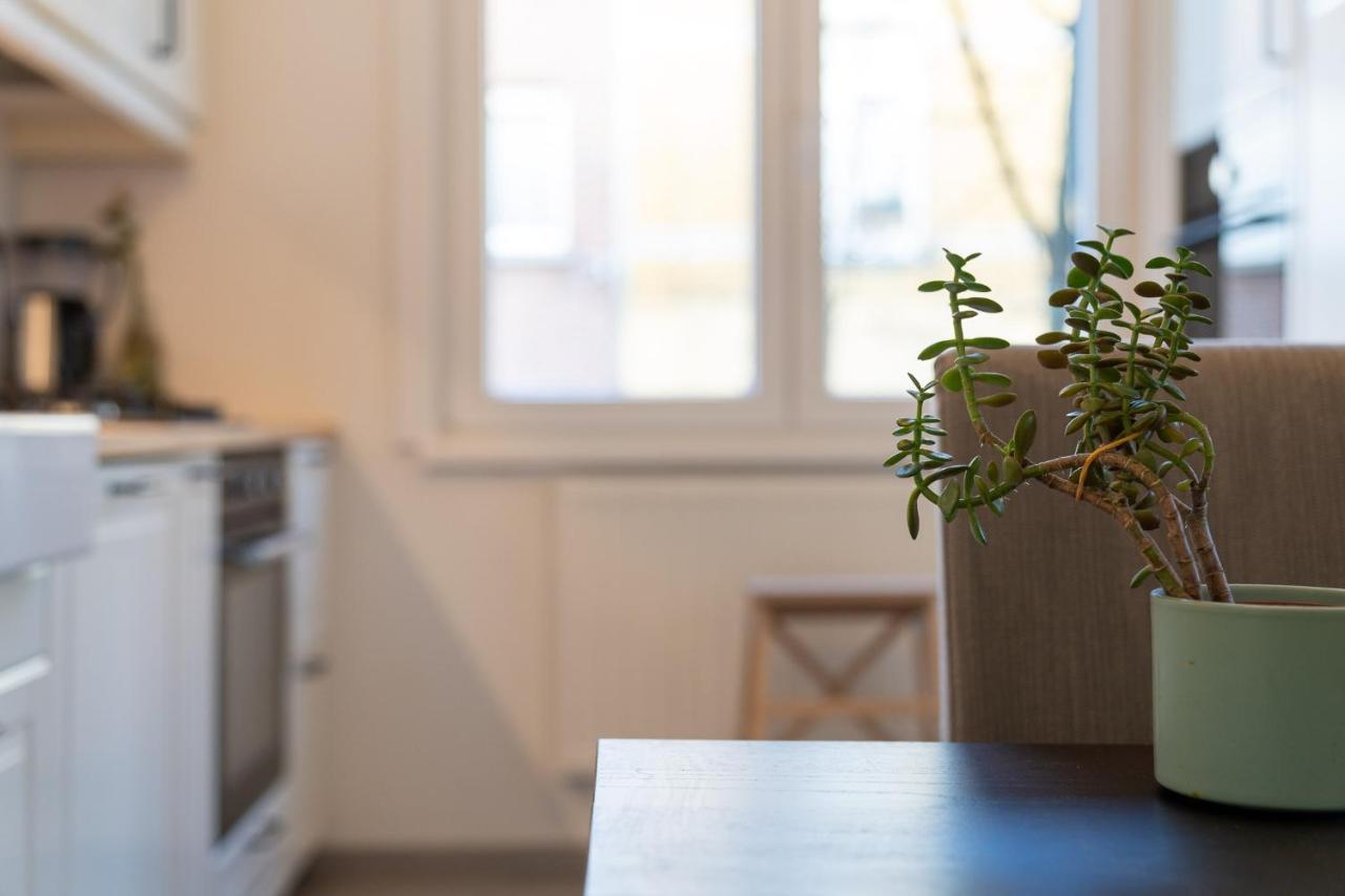Large Room In House W Shared Kitchen & Bathroom W Free Parking Bluecard Αμβέρσα Εξωτερικό φωτογραφία
